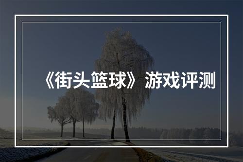 《街头篮球》游戏评测