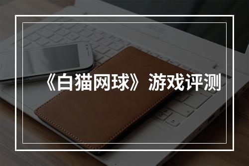 《白猫网球》游戏评测