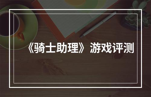 《骑士助理》游戏评测