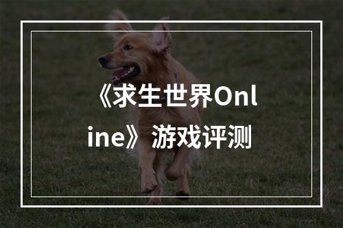 《求生世界Online》游戏评测