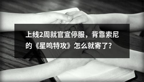 上线2周就官宣停服，背靠索尼的《星鸣特攻》怎么就寄了？