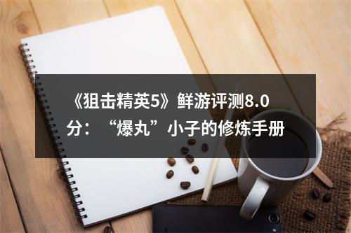 《狙击精英5》鲜游评测8.0分：“爆丸”小子的修炼手册