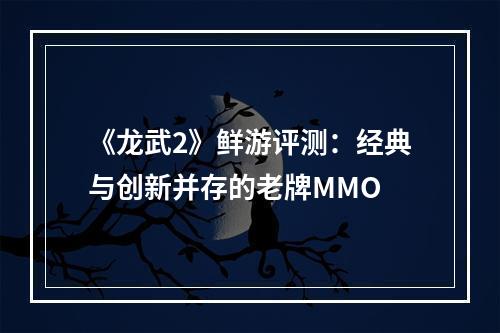 《龙武2》鲜游评测：经典与创新并存的老牌MMO