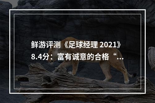 鲜游评测《足球经理 2021》8.4分：富有诚意的合格“年货”