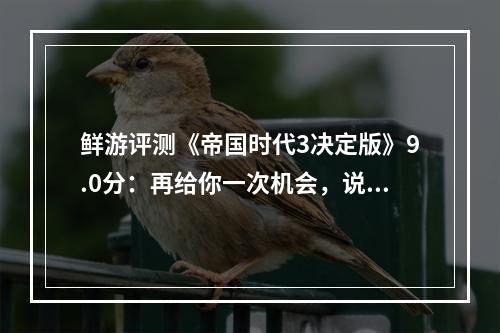 鲜游评测《帝国时代3决定版》9.0分：再给你一次机会，说我棒不棒