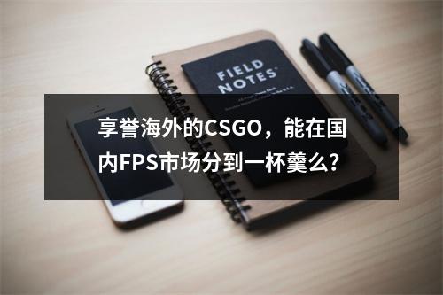 享誉海外的CSGO，能在国内FPS市场分到一杯羹么？