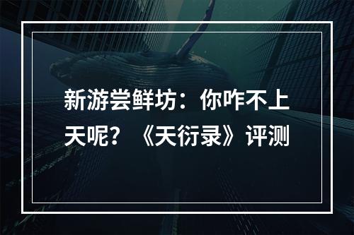 新游尝鲜坊：你咋不上天呢？《天衍录》评测