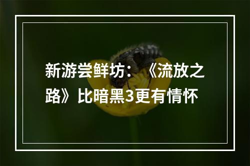 新游尝鲜坊：《流放之路》比暗黑3更有情怀