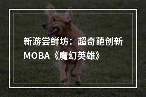 新游尝鲜坊：超奇葩创新MOBA《魔幻英雄》