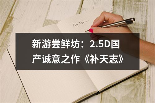 新游尝鲜坊：2.5D国产诚意之作《补天志》