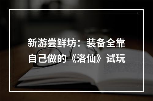 新游尝鲜坊：装备全靠自己做的《洛仙》试玩