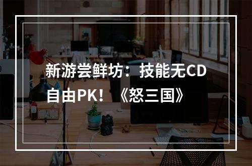 新游尝鲜坊：技能无CD自由PK！《怒三国》