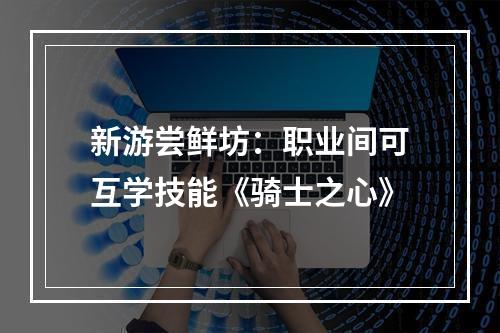 新游尝鲜坊：职业间可互学技能《骑士之心》