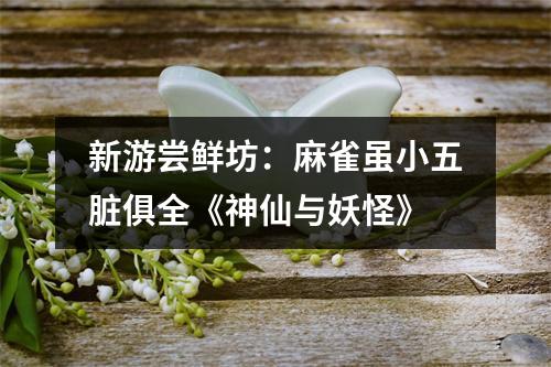 新游尝鲜坊：麻雀虽小五脏俱全《神仙与妖怪》