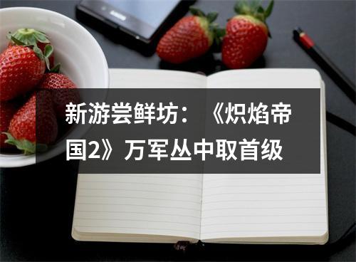 新游尝鲜坊：《炽焰帝国2》万军丛中取首级