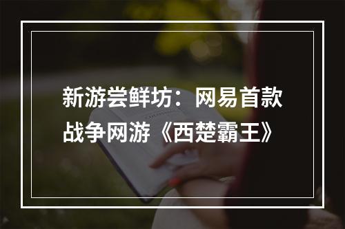 新游尝鲜坊：网易首款战争网游《西楚霸王》