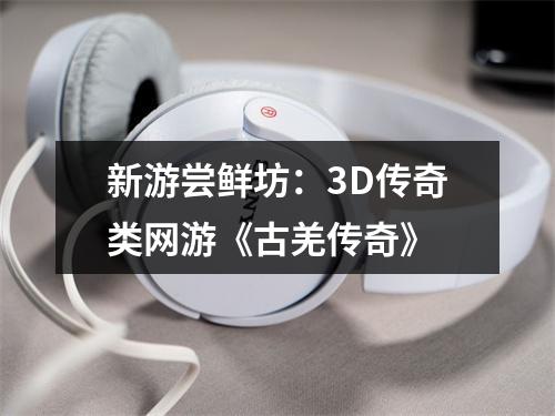 新游尝鲜坊：3D传奇类网游《古羌传奇》