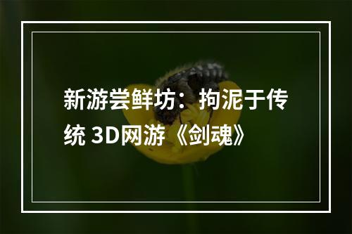 新游尝鲜坊：拘泥于传统 3D网游《剑魂》