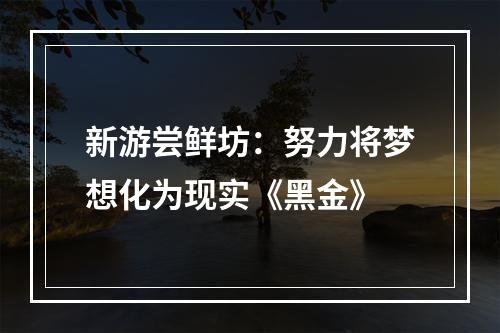 新游尝鲜坊：努力将梦想化为现实《黑金》