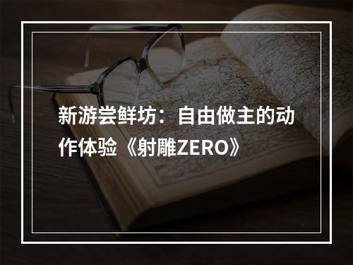 新游尝鲜坊：自由做主的动作体验《射雕ZERO》