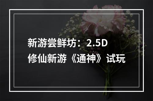 新游尝鲜坊：2.5D修仙新游《通神》试玩