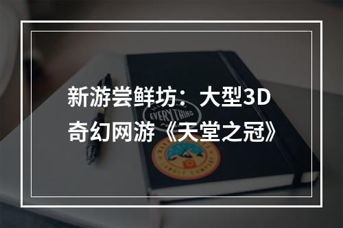 新游尝鲜坊：大型3D奇幻网游《天堂之冠》