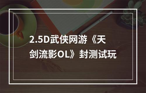 2.5D武侠网游《天剑流影OL》封测试玩