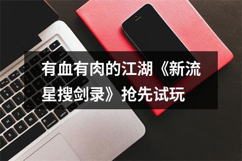 有血有肉的江湖《新流星搜剑录》抢先试玩