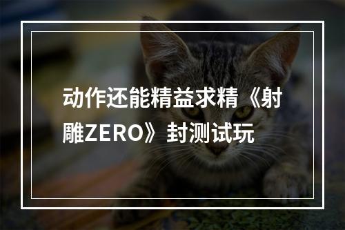 动作还能精益求精《射雕ZERO》封测试玩