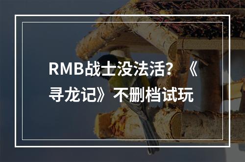 RMB战士没法活？《寻龙记》不删档试玩