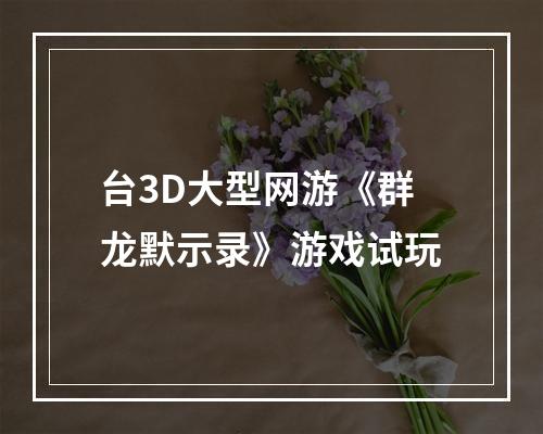 台3D大型网游《群龙默示录》游戏试玩