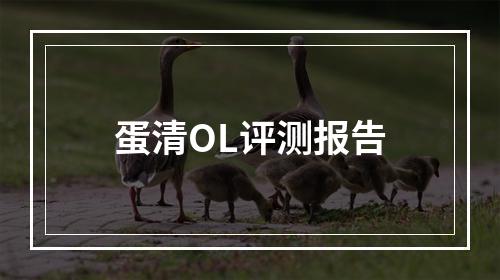 蛋清OL评测报告