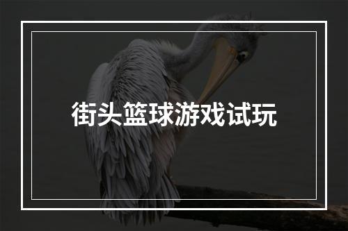 街头篮球游戏试玩