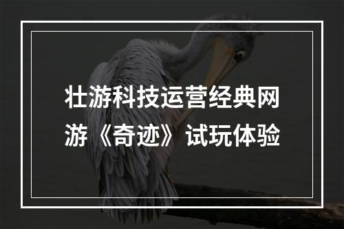 壮游科技运营经典网游《奇迹》试玩体验