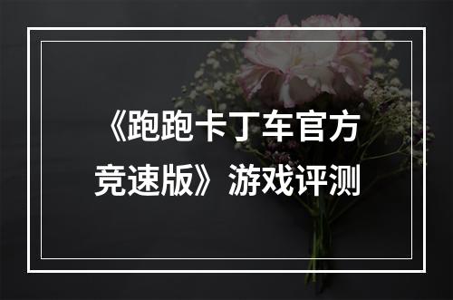 《跑跑卡丁车官方竞速版》游戏评测