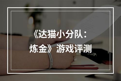 《达猫小分队：炼金》游戏评测