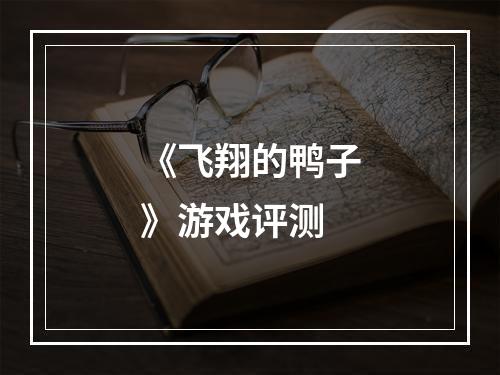 《飞翔的鸭子》游戏评测