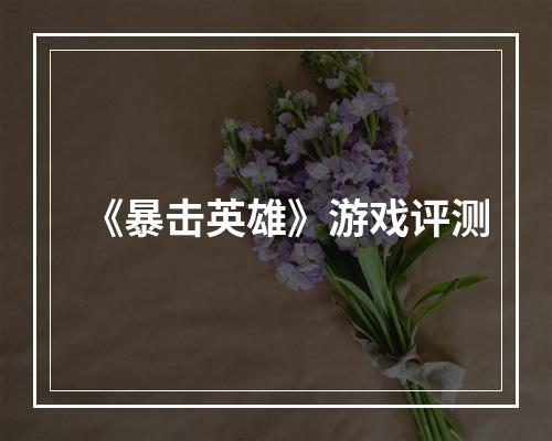 《暴击英雄》游戏评测