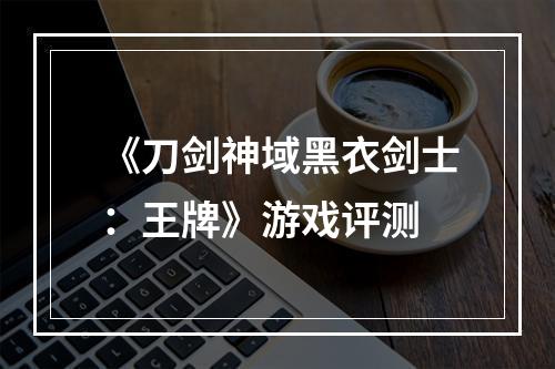 《刀剑神域黑衣剑士：王牌》游戏评测