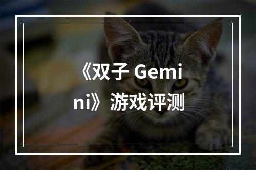 《双子 Gemini》游戏评测