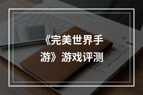 《完美世界手游》游戏评测