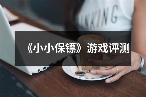 《小小保镖》游戏评测