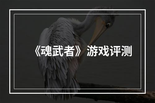 《魂武者》游戏评测