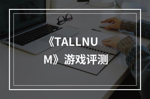 《TALLNUM》游戏评测