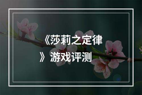 《莎莉之定律》游戏评测