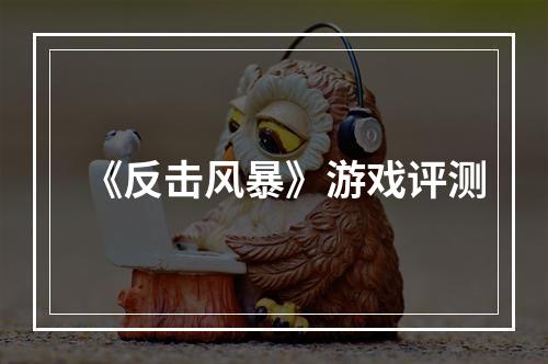 《反击风暴》游戏评测