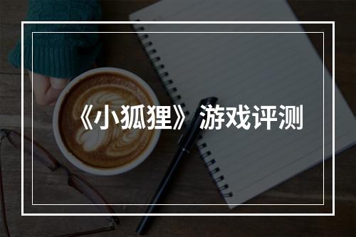 《小狐狸》游戏评测