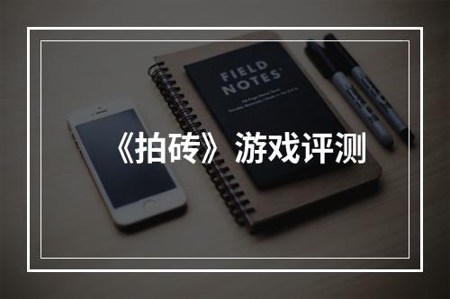 《拍砖》游戏评测