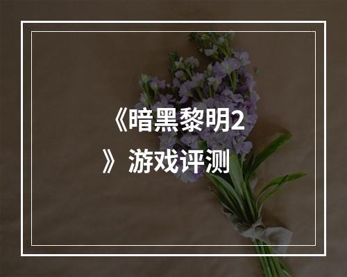 《暗黑黎明2》游戏评测