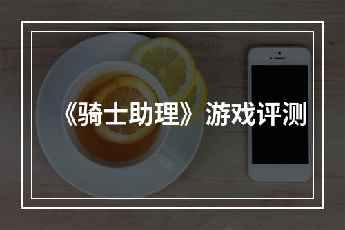 《骑士助理》游戏评测